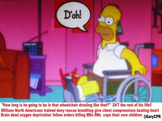 Homer wheelchair